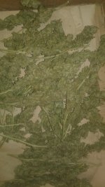 20181130_005612.jpg