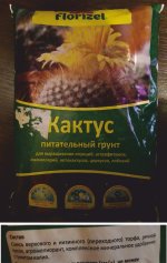 20181201_141834.jpg