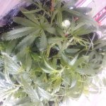 20181203_122628.jpg