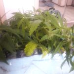 20181203_122642.jpg