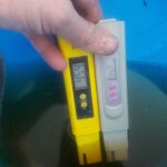 20181203_123132.jpg