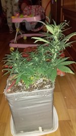 20181203_235919.jpg