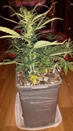 20181203_235931.jpg