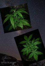 CollageMaker_20181204_123640157.jpg