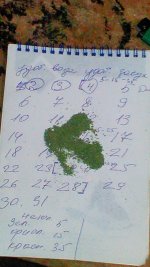 20181204_185204-0.jpg