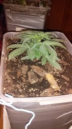 20181204_223931.jpg