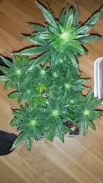 20181206_175626.jpg