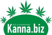 kanna.biz-logo.gif