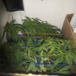 20181207_223411.jpg