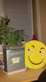 20181207_234343.jpg