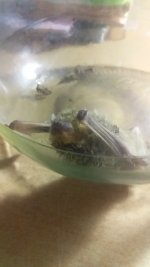 20181208_003425.jpg
