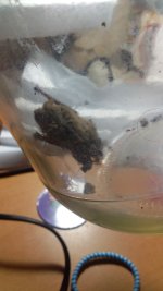 20181208_003508.jpg
