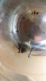 20181208_003325.jpg