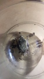 20181208_003303.jpg