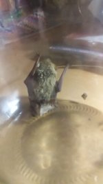 20181208_003339.jpg
