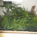 20181208_055303.jpg