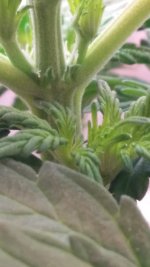 20181208_204206.jpg