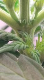 20181208_204359.jpg