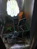 IMG-20181207-WA0003.jpg