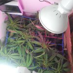 20181209_201624.jpg