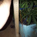 20181210_220557.jpg