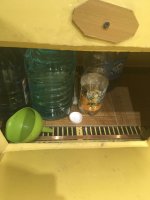 IMG_1010.JPG