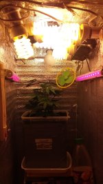 20181211_222333.jpg