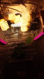 20181211_222344.jpg