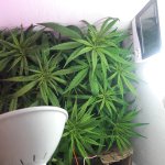 20181213_161342.jpg