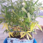 20181215_151831.jpg