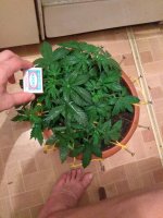 IMG_20181216_003629_301.jpg