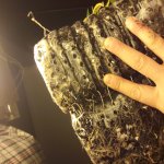 20181216_083121.jpg