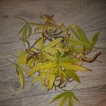 20181216_083823.jpg