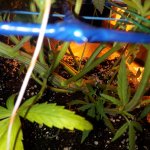 20181216_083837.jpg