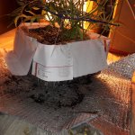 20181216_085728.jpg