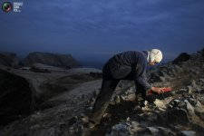 guano_005.jpg