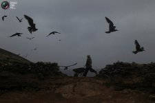 guano_014.jpg