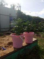 2018-08-23 12-44-51.JPG