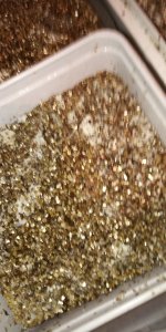 IMG_20181218_140650.jpg