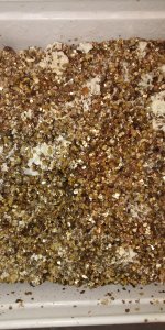 IMG_20181218_163107.jpg