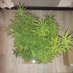 20181220_003623.jpg