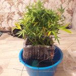 20181220_020036.jpg