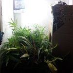 20181220_024046.jpg