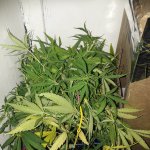 20181220_024124.jpg