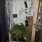 20181220_024139.jpg