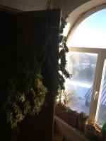 IMG_20181123_124236.jpg