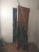 IMG_20181123_124452.jpg
