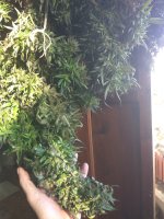 IMG_20181123_124647.jpg
