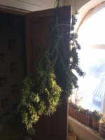 IMG_20181123_124303.jpg