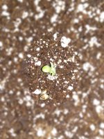 IMG_20181226_154321.jpg